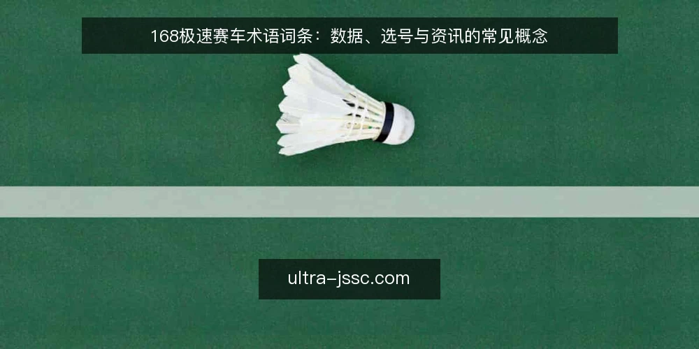 168极速赛车术语词条:数据、选号与资讯的常见概念 — 168极速赛车术语:数据、选号与资讯分别指什么? 配图