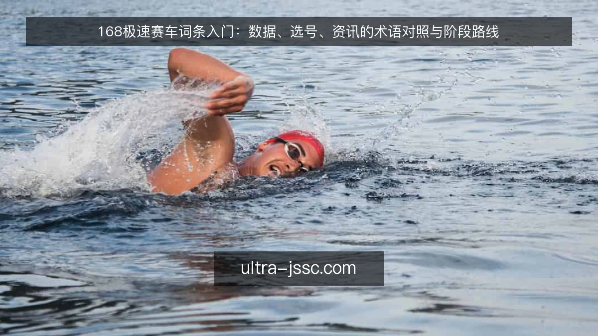 168极速赛车词条入门:数据、选号、资讯的术语对照与阶段路线
