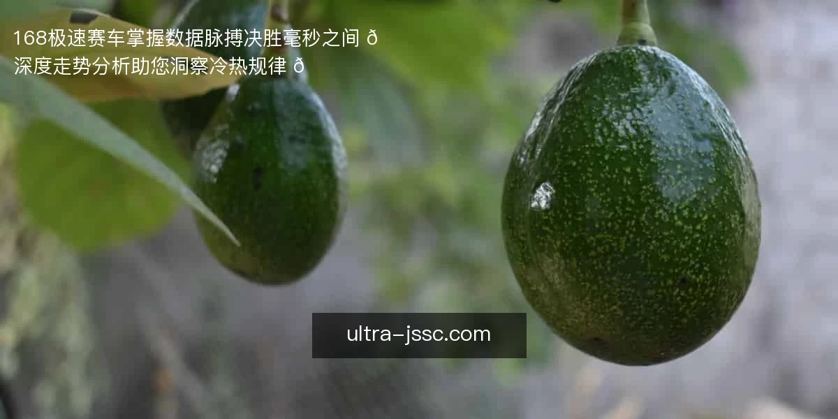 168极速赛车，掌握数据脉搏，决胜毫秒之间 📊